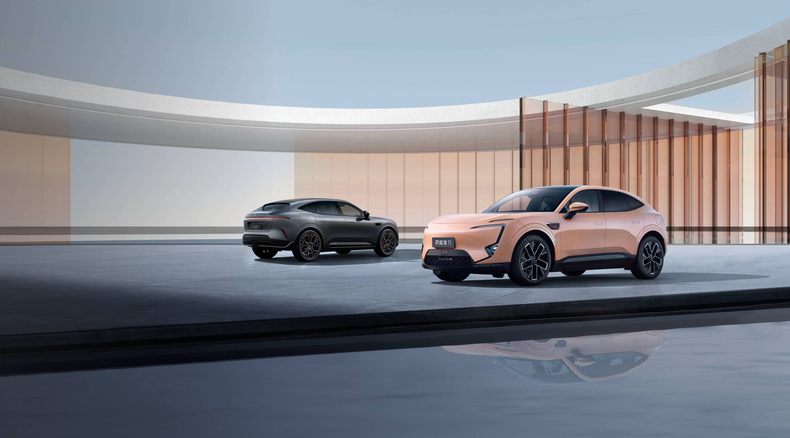 საგარანტიო პირობები